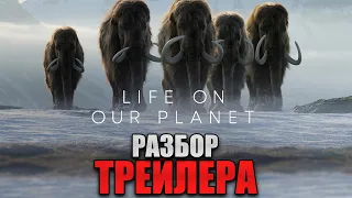 Жизнь На Нашей Планете - Новый Грядущий Хит От Netflix  Разбор Трейлера.