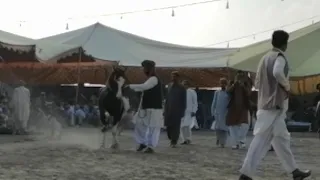 Watch Harchahal /sakrila Sharif /Ghora Neelm Mirpur Azad Kashmir. March 2012.part 2/2