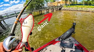 Fastest Limit We've Ever Caught & INSANE Last Hour Glidebait Bite that made us $$! Lake Norman Day 2