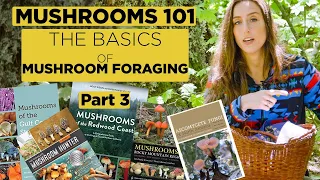 Mushrooms 101: The Basics of Mushroom Foraging - Part 3