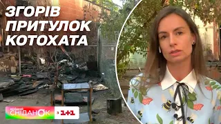 ПОЖЕЖА у притулку для тварин Котохата — Олена Квітка. Пряме включення