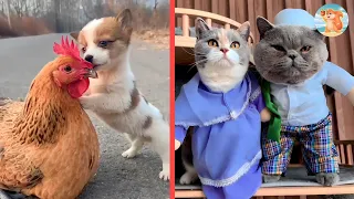 Funniest Animal Videos 2023 🐶 Best Funny Cats & Dogs Videos 😺 ✅ Part 42