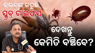 What is scrub typhus? ଆସନ୍ତୁ ଜାଣିବା | Dr. Girija Shankar Ugata | #local18 | Odia News