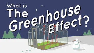 What Is the Greenhouse Effect?