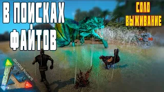 СОЛО ВЫЖИВАНИЕ, В ПОИСКАХ ФАЙТОВ в ARK Survival Evolved (Арк сурвайвал эволв) #ark #арк #survival