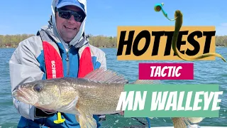 Hottest Tactic for Minnesota Walleye | Leech Lake