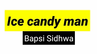 Ice-candy-man by Bapsi Sidhwa Cracking India Novel