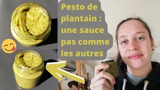 Pesto de plantain : du pré à l'assiette !
