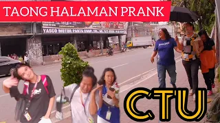 TAONG HALAMAN PRANK:  CTU 😁