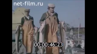 1979г. День в Астрахани
