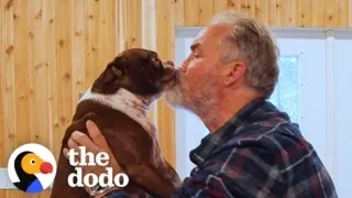 Dad Builds A Pool House So His Dog Can Swim In Winter | The Dodo