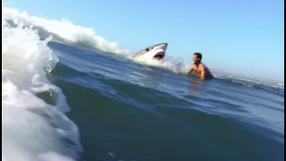 One of The WORST Great White Shark Attacks of All Time!