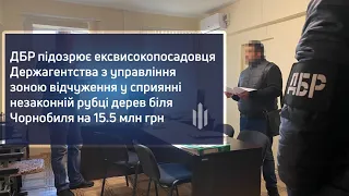 ДБР підозрює ексвисокопосадовця ДАЗВ у сприянні незаконній рубці дерев біля Чорнобиля на 15.5 млн ₴