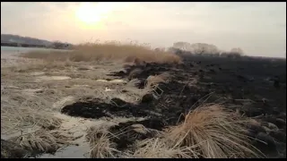 Поджигателей травы поймали в Сковородинском районе