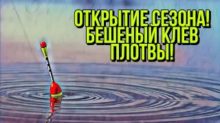 БЕШЕНЫЙ КЛЕВ ПЛОТВЫ НА УДОЧКУ! ЛОВЛЯ ПЛОТВЫ НА ПОПЛАВОК! ОТКРЫТИЕ СЕЗОНА 2021!