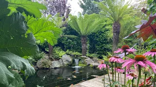 Walking Talking Tour of Amazing Private UK Tropical Garden. Inspirational