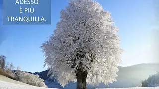 Vivaldi – Le quattro stagioni – L'inverno
