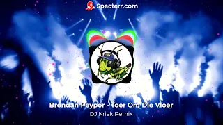 Brendan Peyper - Toer Om Die Vloer (DJ Kriek Remix)