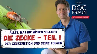 Wie gefährlich sind Zeckenstiche wirklich – Die Zecke Teil 1