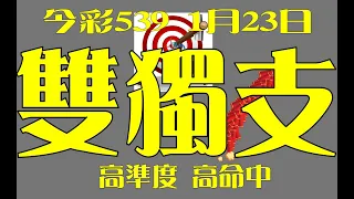 【今彩539神算】1月23日 上期中03 15 36 今彩539 雙獨支