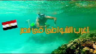 اغرب 3 شواطئ فى مصر - مرسى علم