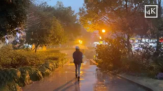 「4K」Walking in light rain at Night in Hangzhou China