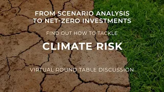 From Scenario Analysis to Net Zero Investments - Tackling Climate Risk