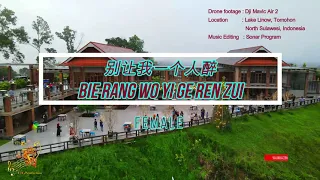 Bie Rang Wo Yi Ge Ren Zui (别让我一个人醉) Female Version - Karaoke mandarin with drone view