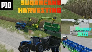 From field to factory: Sugarcane process in FS23