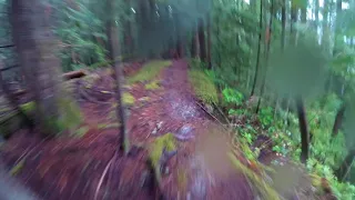 Wet rip down Cougar Ridge in Bellingham, WA