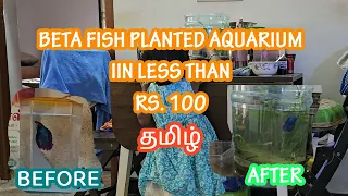 🐠 ☘️ [த] Beta Fish Planted Aquarium setup in less than Rs. 100