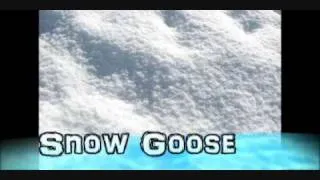 ♪Snow Goose　高音質