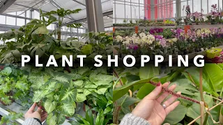 🌿 PLANT SHOPPING 🌿 │BIG BOX STORE  PLANT SHOPPING!! 🌟