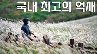 대중교통으로 한 번에 돌아보는 영남알프스 억새 여행 | 영남알프스 억새 하이라이트와 통도사 여행