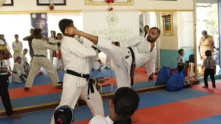 Kagayaku International All-style Karate Seminar