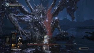 Dark souls 3 Darkeater Midir SL1 NG+7 No Rolling/Blocking/Parrying