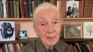 Dr Jane Goodall's message for World Ranger Day 2022