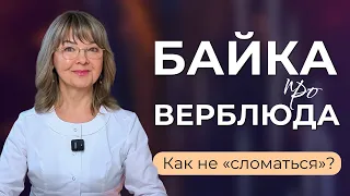 Как "не сломаться", нещадно нагружая свой позвоночник? Простые советы ортопеда