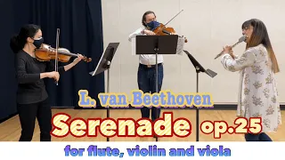 Beethoven Serenade op.25