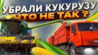 Уборка кукурузы 2023 | Какие ошибки? | Результаты