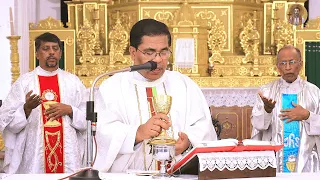 Thirty Second Week in Ordinary Time Thursday - 10th Nov 2022 7:00 AM - Fr. Peter Fernandes