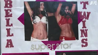 Bella Twins get a chance to try out for WWE: The Bella Twins A&E Biography: Legends sneak peek