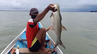 Sport merawai ikan ose dan ikan senangin, sentakan maut' lokasi pancang merah' tanjung karis