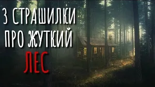 3 Страшилки Про Жуткий Лес и Деревню. Страшные истории про деревню. Истории на ночь. Сибирь. Ужасы.