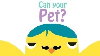 Can Your Pet?