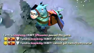 Dota 2 Courier bug In The Grand Finals of TI 11 - The International 2022