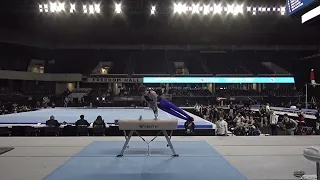 Patrick Hoopes - Pommel Horse - 2023 Winter Cup - Senior Men Day 1