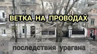 УРАГАН в Одессе! 24.02.2020. ВЕТКА над ДОРОГОЙ! Новосельского 67.