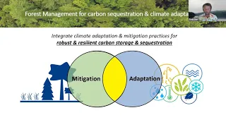 Strategies & approaches for managing forests for adaptation and mitigation