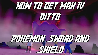 How To Get MAX IV Ditto | Pokemon Shield | Pokemon Sword and Shield Ditto Guide | Ditto Location |